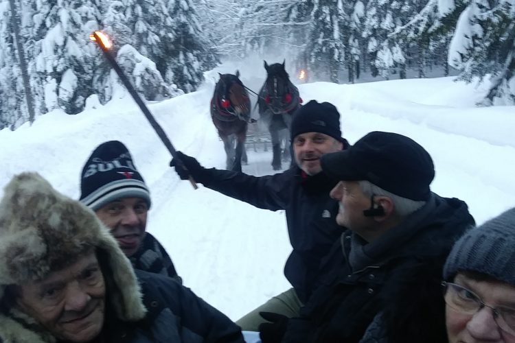 29.01.2019 Z kopyta kulig rwie…