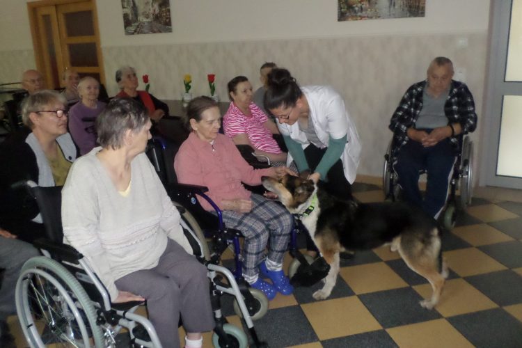 10.05.2019 Schronisko „Psitul mnie”