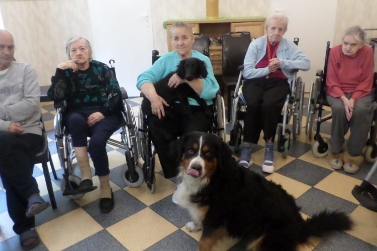 13.05.2019 r Dogoterapia
