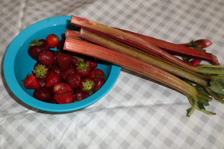 18.06.2019 r. Sezonowe smakołyki