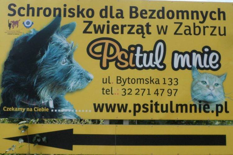 30.07.2019 r. Wizyta w schronisku „Psitul mnie”