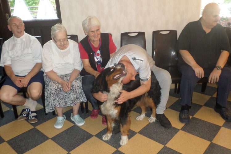 05.08.2019 Dogoterapia