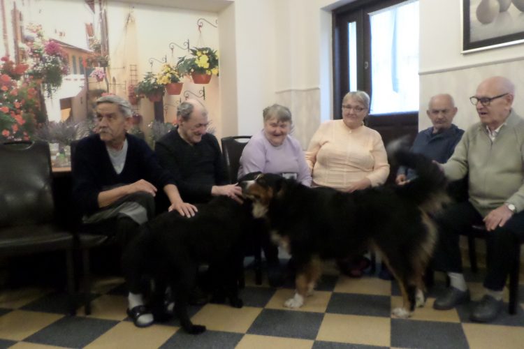 04.11.2019 Dogoterapia